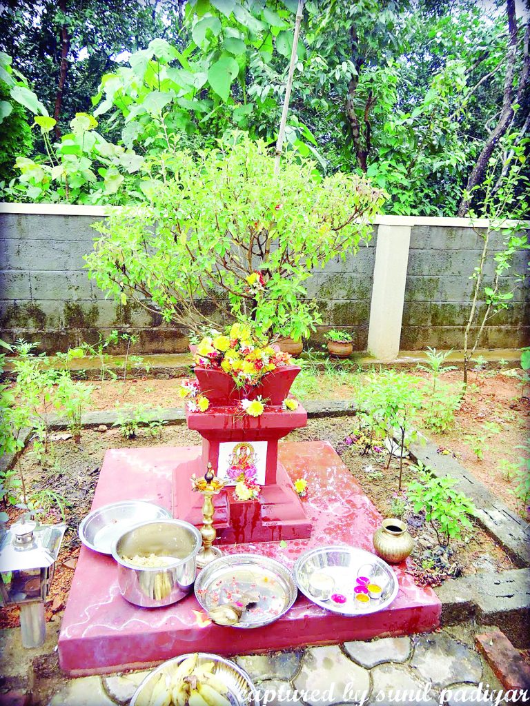 प्रबोधोत्सव दिव्यत्वाचा