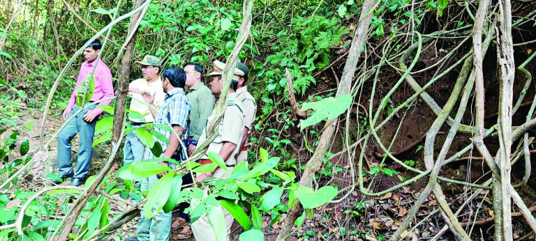 वाघ हत्याप्रकरणी आणखी एकास अटक
