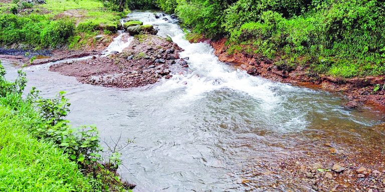 कळसा प्रकल्पाची संयुक्त पाहणी करून अहवाल सादर करा